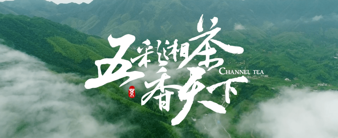 聚力打造湘茶文化高地重磅推出五彩湘茶香天下