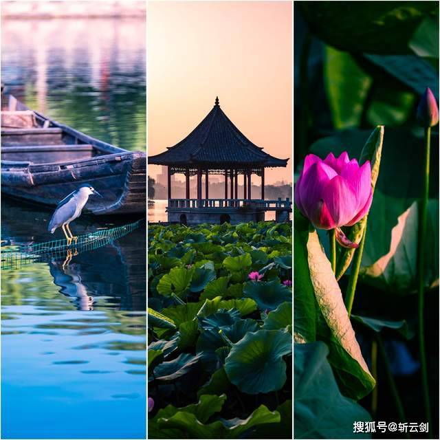 原创             荷是济南城市名片，大明湖的荷花要比杭州西湖的美，你知道什么原因？
