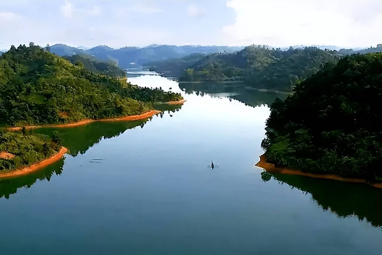 平南县农产品区域公用品牌名称全民征集大赛