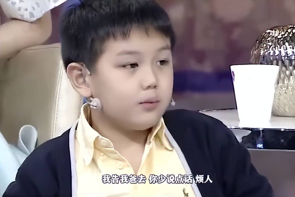 原创王艳儿子我爸一天挣几十万妈花一半直言看到妈妈摔倒不会扶