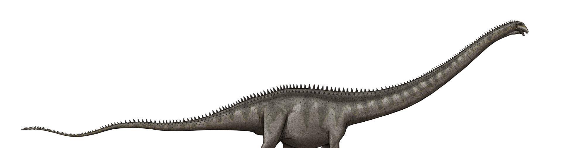 恐龙脖子那么长到底哪种恐龙的脖子最长