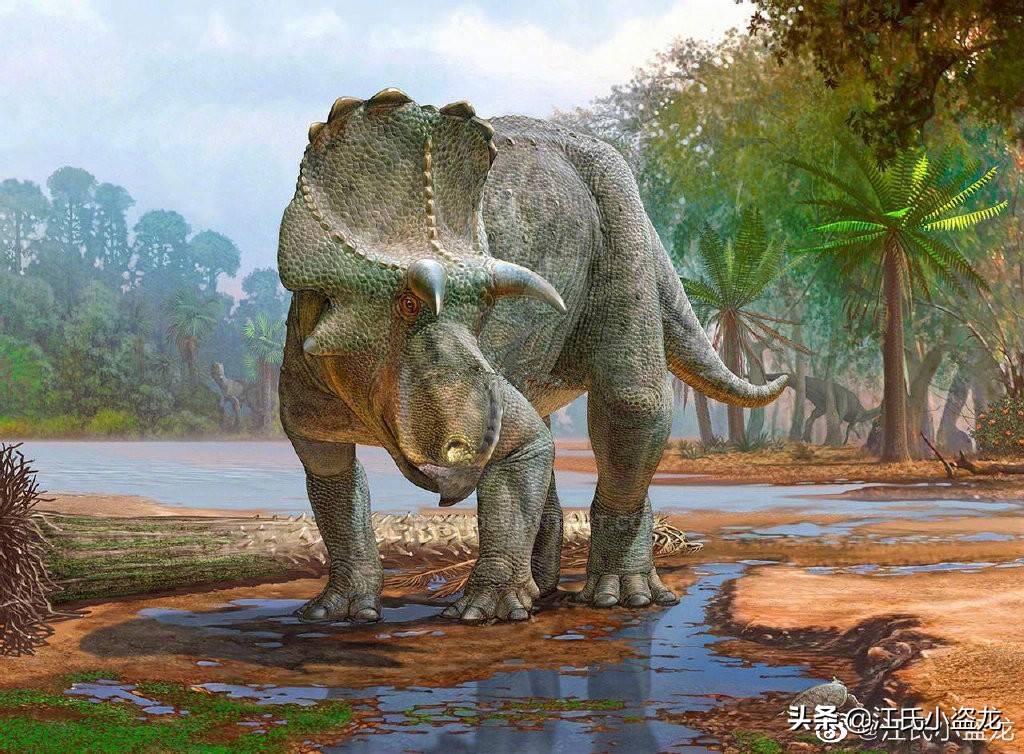 原创2021年新种恐龙非鸟恐龙大盘点