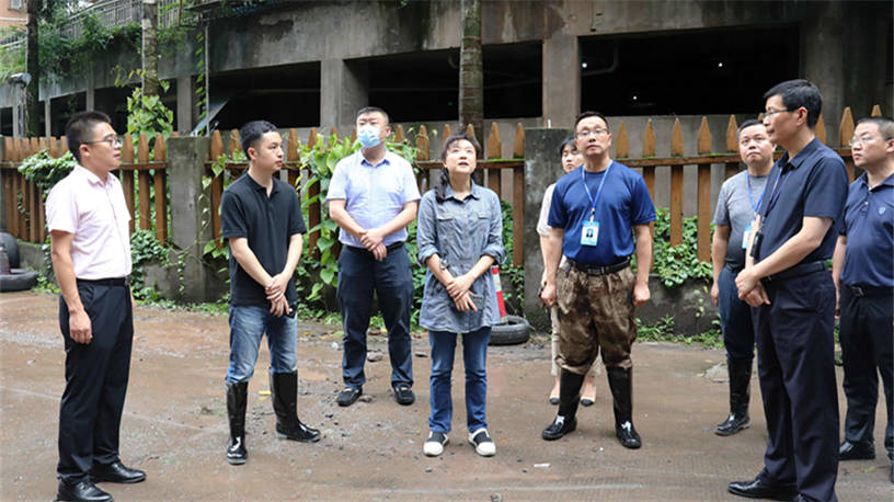 龙马潭区召开防汛应急工作调度会安排部署全区防汛应急工作