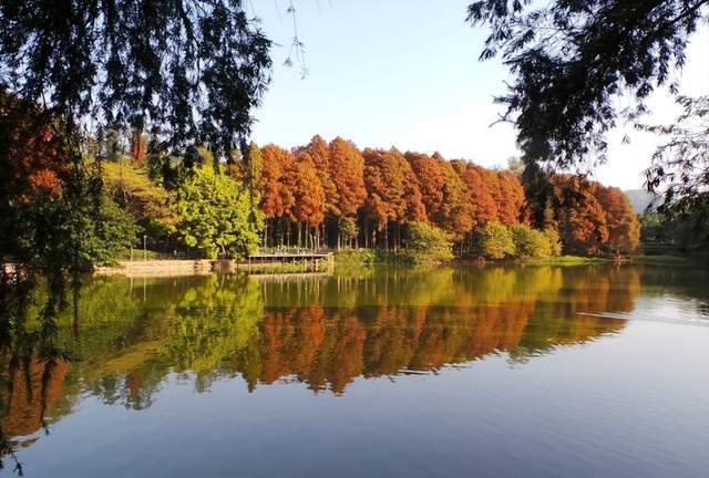 广州闹市区内，有一个小众公园，风景优美却很少有人光顾