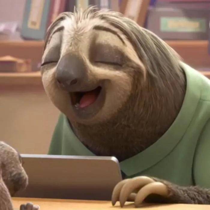 原创树懒总是看起来在微笑原来是因为这