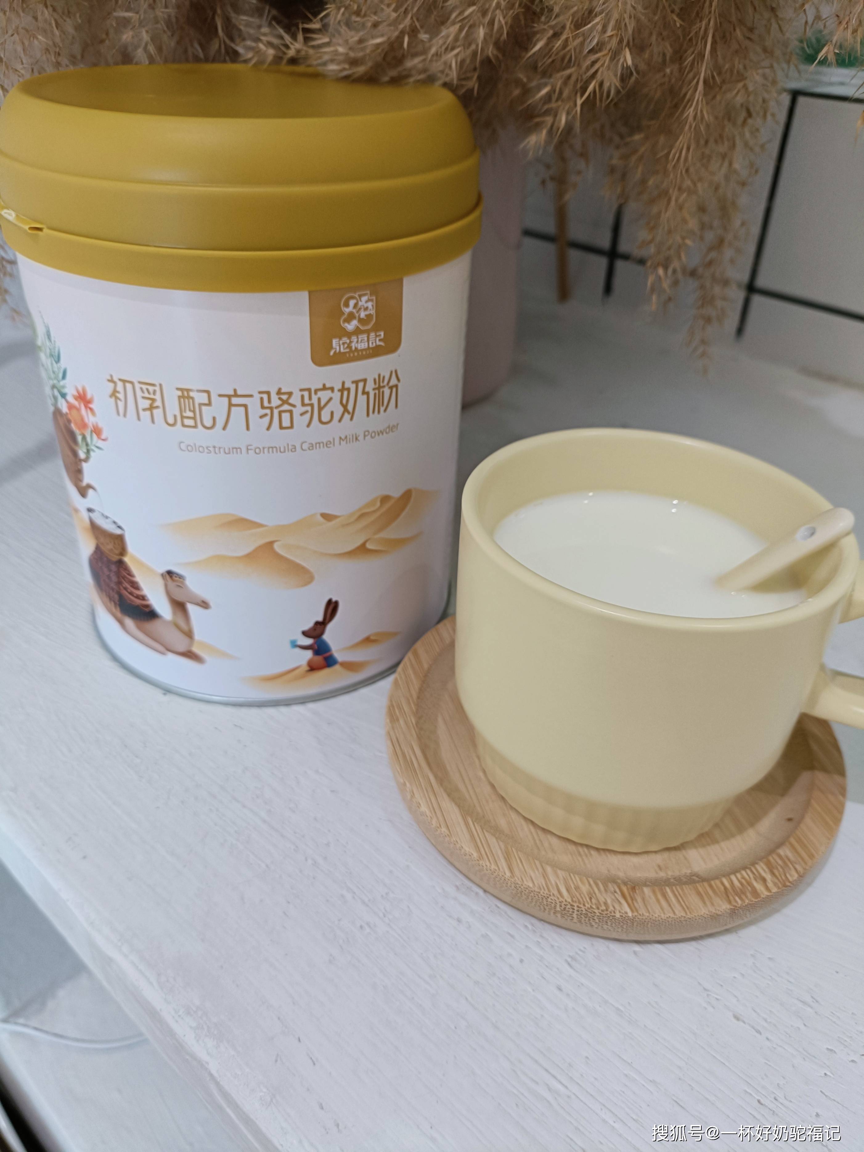 原创夏季常喝驼奶粉好处多多但这些问题需要注意