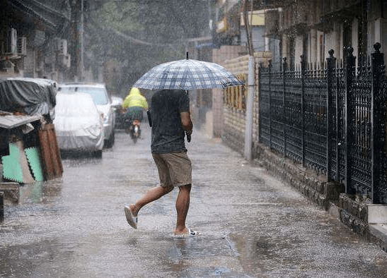 夏天的风雨交加图片图片