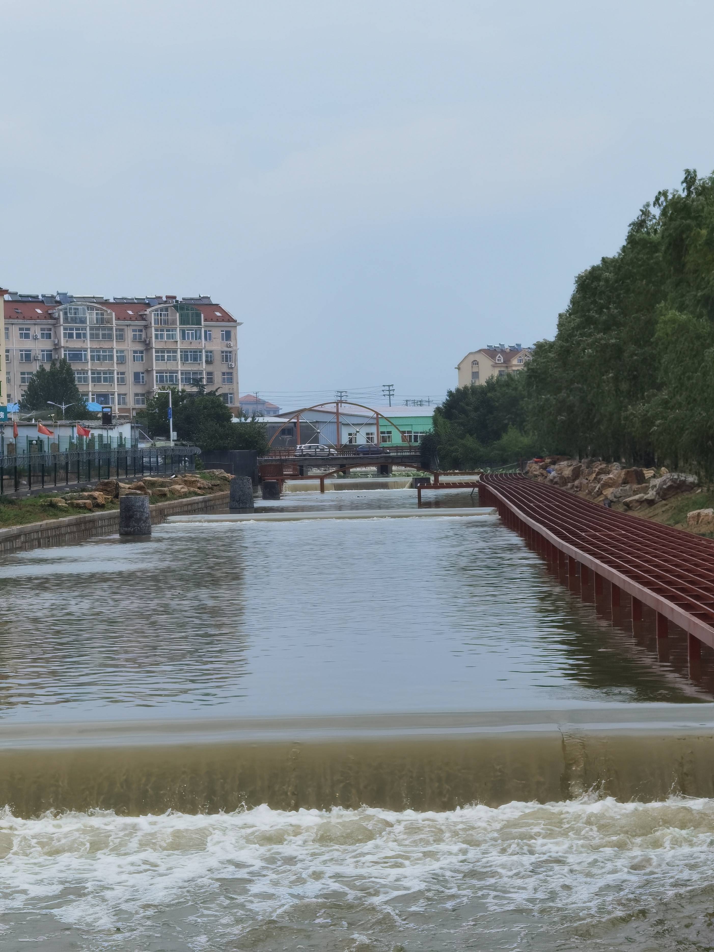 青岛城阳曹村河惜福镇段奇葩景观上游垃圾满河下游水清草绿