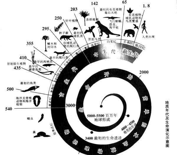 手機搜狐網