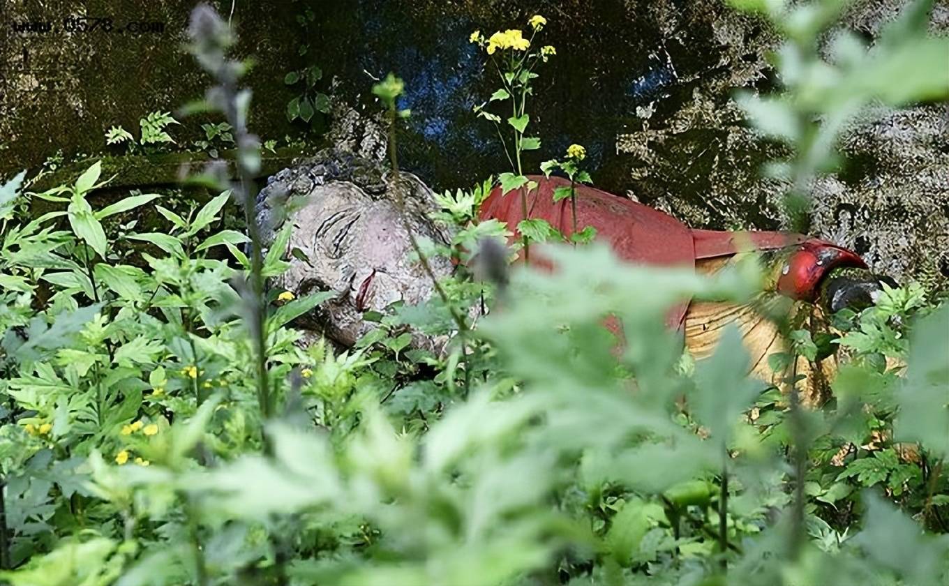 原创合川嘉陵江畔古寺庙废弃多年成残垣断壁水上观音延续昔日辉煌