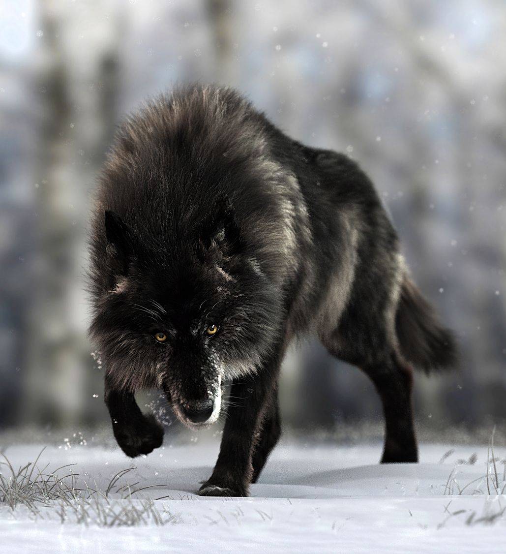 黑虎仅剩6只_黑化_金属鸡_企鹅