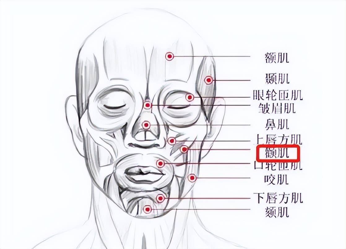 打牙关图片