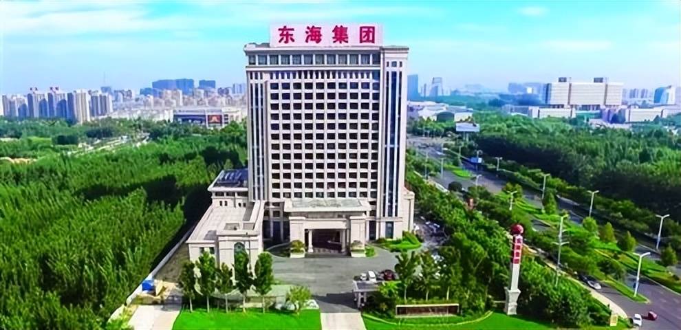 宁波东海集团(宁波东海集团有限公司水表)