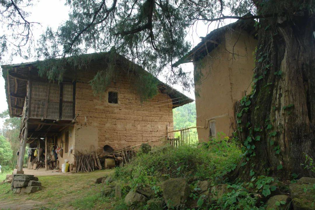 �����ǡ��Ĵ����ձ���ʮ�ģ�����1876�꣬������һ�ɵ� ...