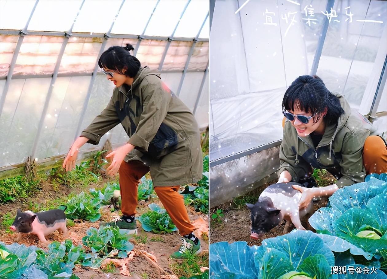 孙俪菜地里兴奋抓猪!手握猪脖子表情夸张