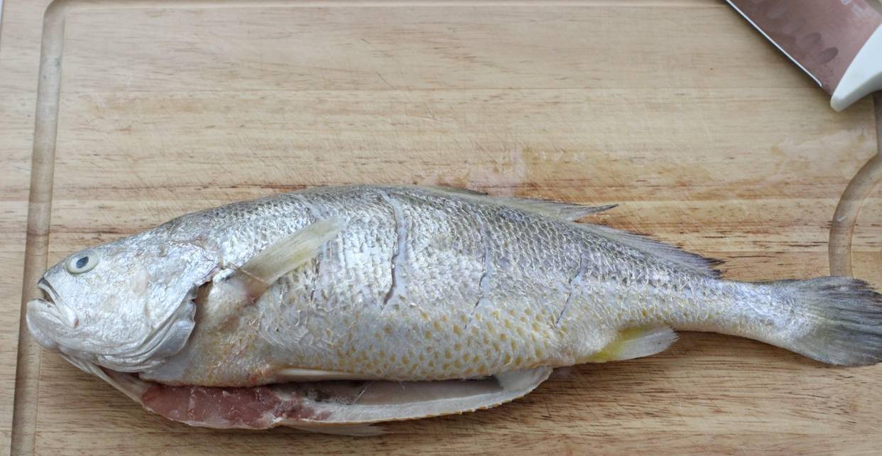 孩子长身体阶段多吃鱼,高蛋白,低脂肪,营养丰富对眼睛还有好处_大匙