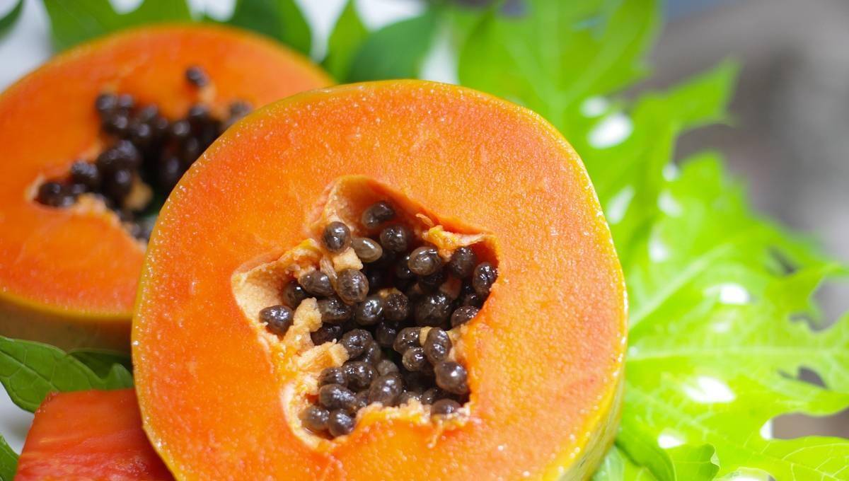 番木瓜只是在近代才从墨西哥传入我国的.