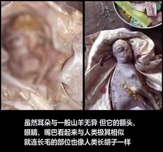 人们纷纷开始猜测这一怪异结合