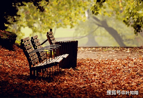 煮一壶尘世酒,迎一世醉人间