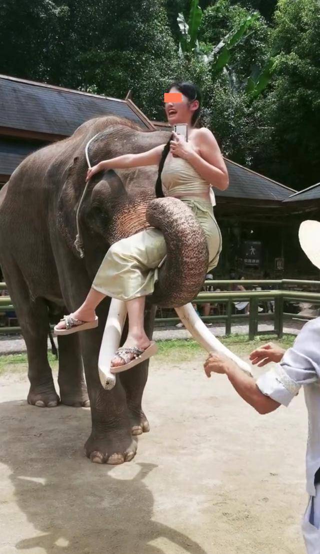 男子让几个人把女友抬到大象的鼻子上坐,女友哭泣:快放我下来_男友