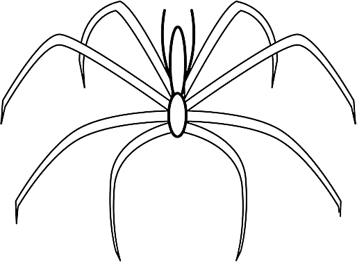 与其他生物的器官分布不同,海蜘蛛相当依赖自己的腿,用腿觅食,用腿