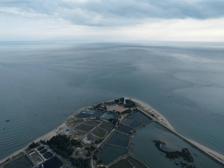 中国大陆最南端:南极村搜狐大视野搜狐新闻