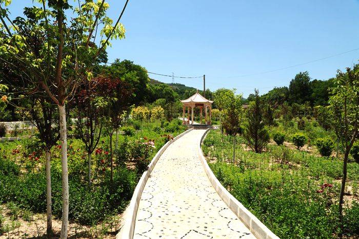 崆峒区花所镇寺沟村以村貌蝶变绘就美丽乡村新画卷