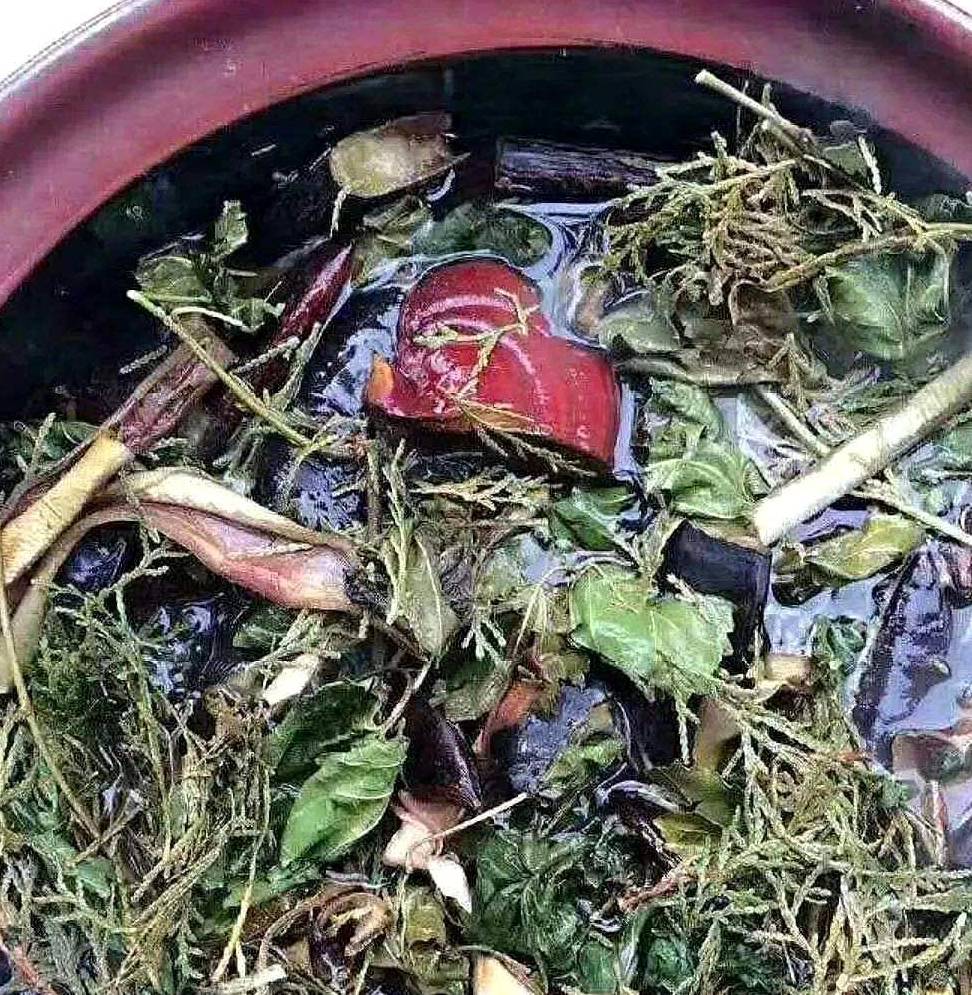 所以喜欢这种旱莲草的朋友们,不妨在家中庭院,或者是花盆里种上一些