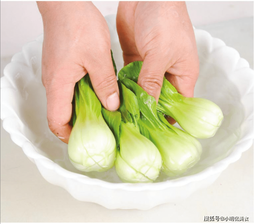 蔬菜的分類及品種有哪些蔬菜食用菌面面觀