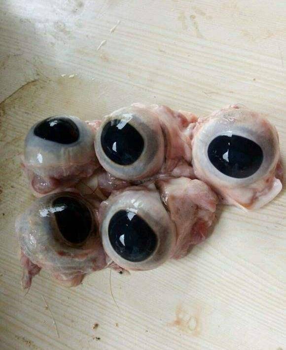 在那几天,朋友带外国友人见识了当地的一些特色美食,外国