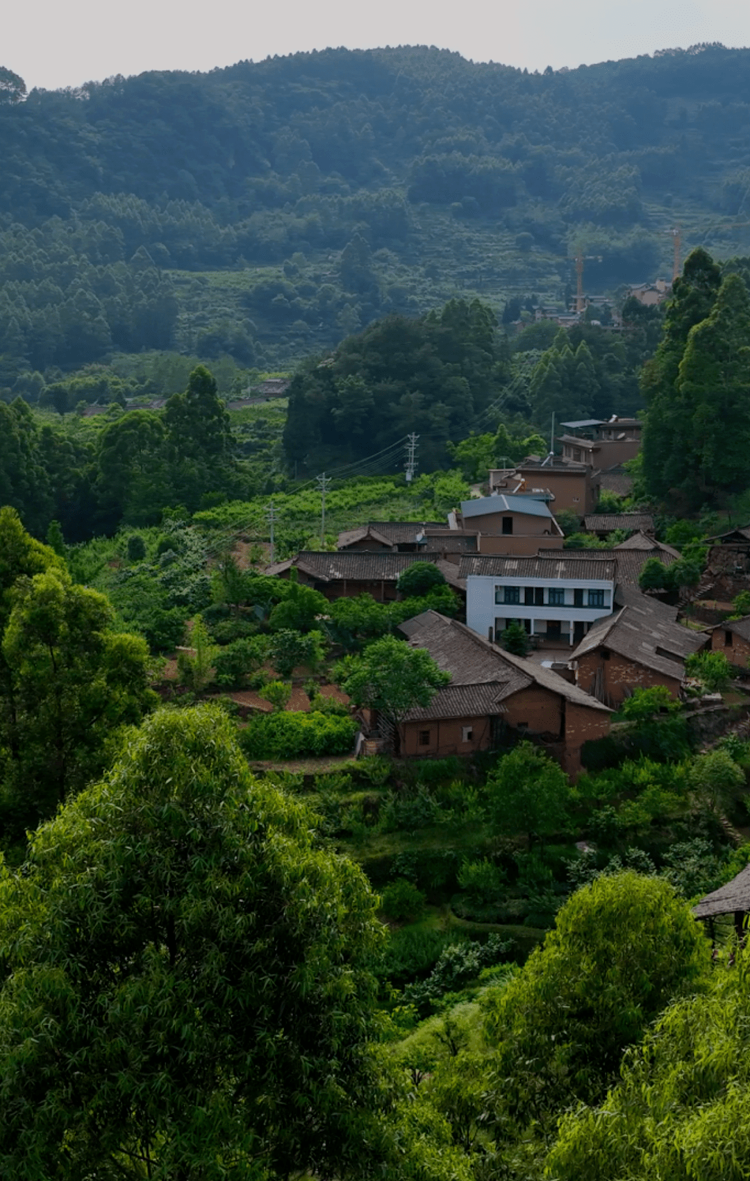 丹棱风景图片图片