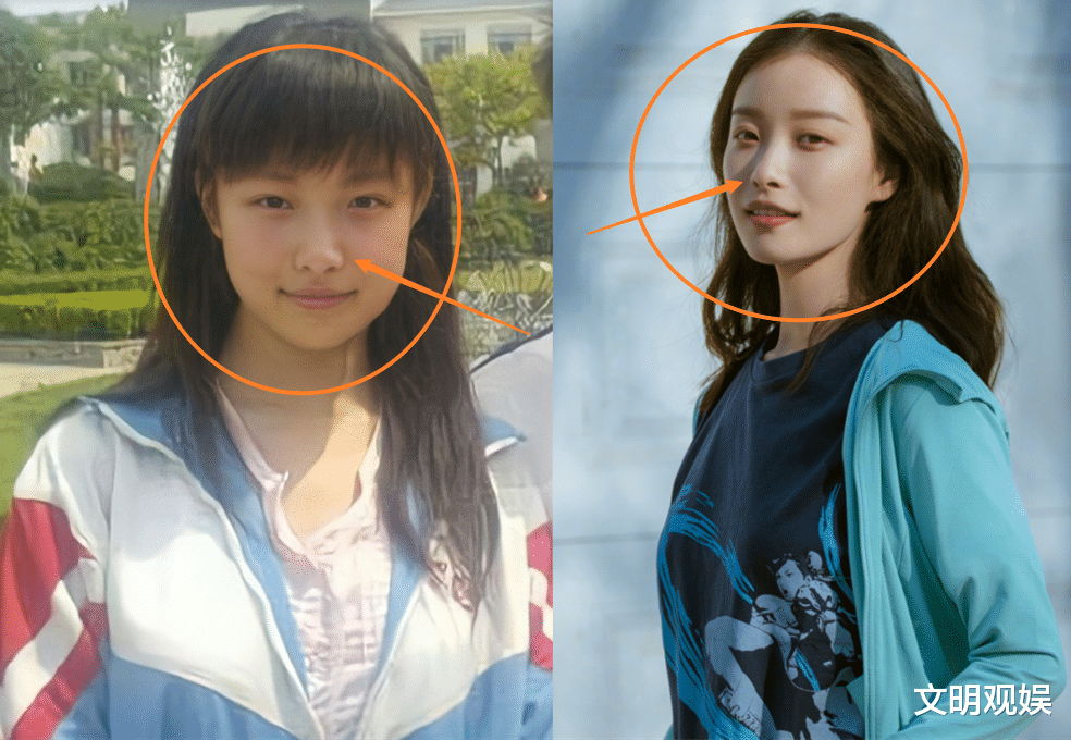 都说倪妮颜值不是一般高,看到她中学时期的模样,有无整容很显然_女