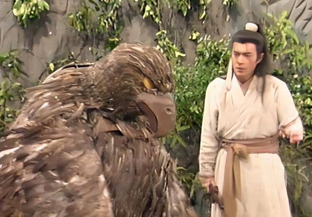 神雕侠侣中,杨过为何要救雕?如果救了怪蛇,武功会不会更高强?