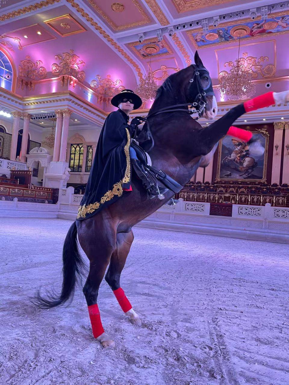 一位来自海澜马术俱乐部的佐罗从生产工人到马术骑手的华丽转身