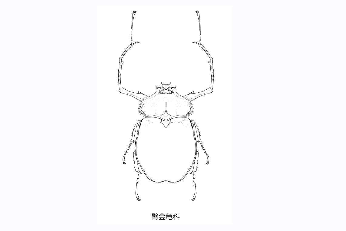 濒临灭绝的植物简笔画图片