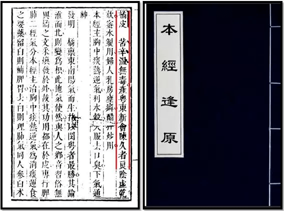 陈皮在我国有悠久的应用历史,被认为始载于东汉《神农本草经》,当时被