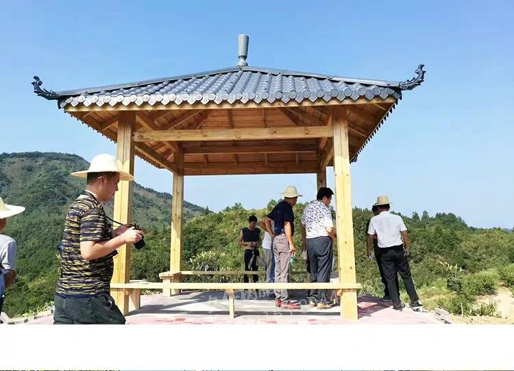 农村建房越来越多的人选择树脂瓦它到底有何优势