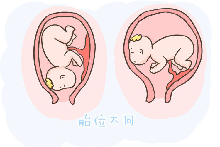 怀孕三个月的肚子多大图片