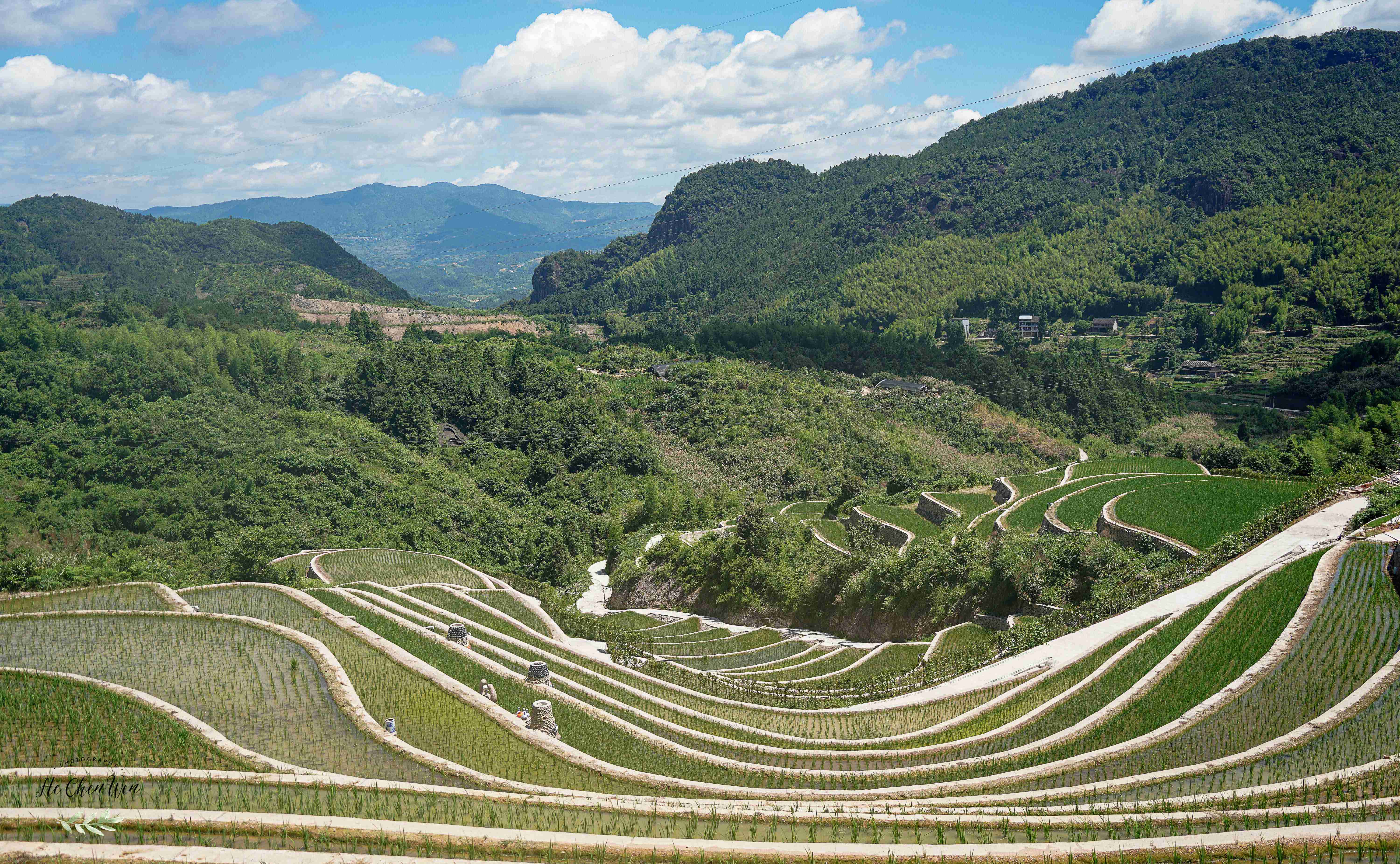 泰顺雅阳大峡谷图片