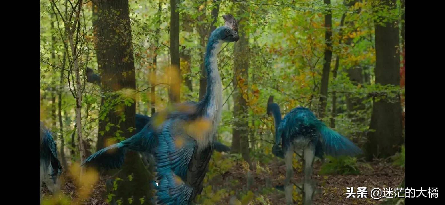 74冠盗龙:拥有蓝白色羽毛和鸡冠的恐龙,像孔雀一样美丽74巴巴里