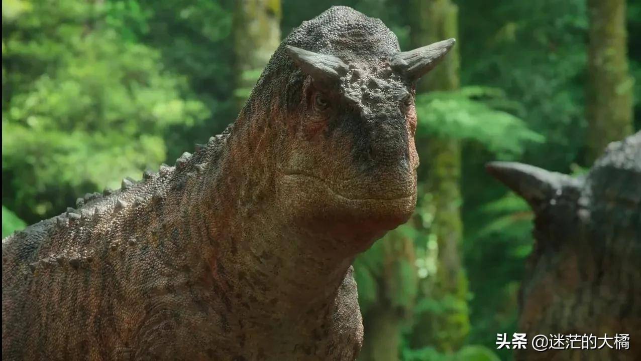 霸王龙是不会游泳的,但其实霸王龙不仅会游还游得不错74冠盗