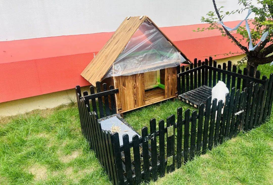 随着小羊慢慢长大,孩子们的房子还能住得