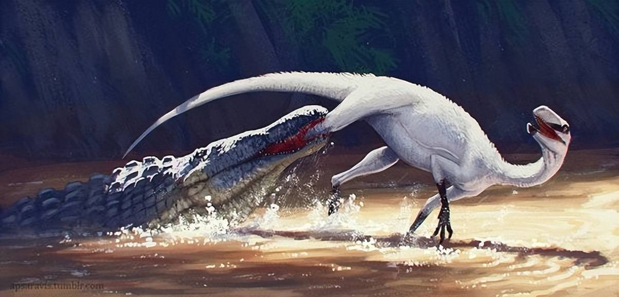 江湖中,有植龙类.