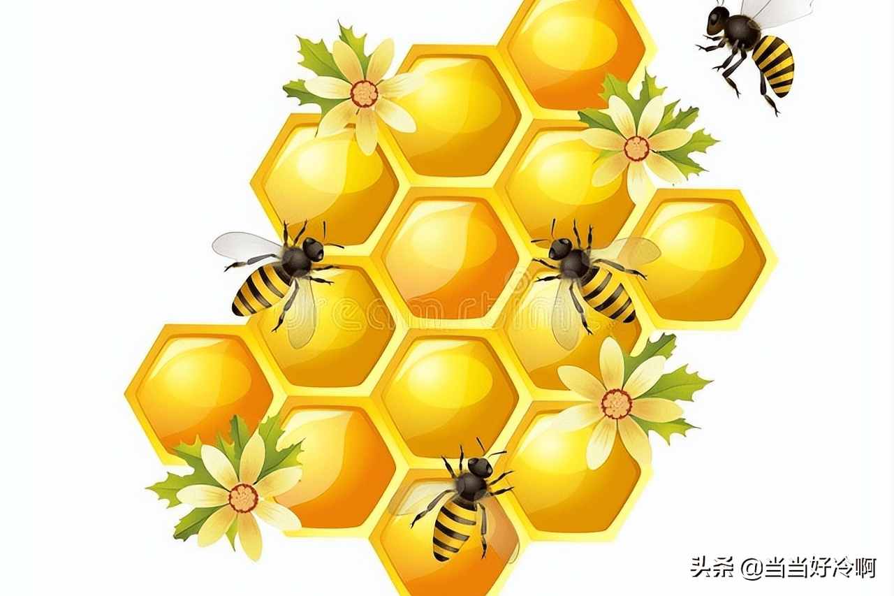 科普冷知识:为什么蜜蜂蜇人之后就会去世?