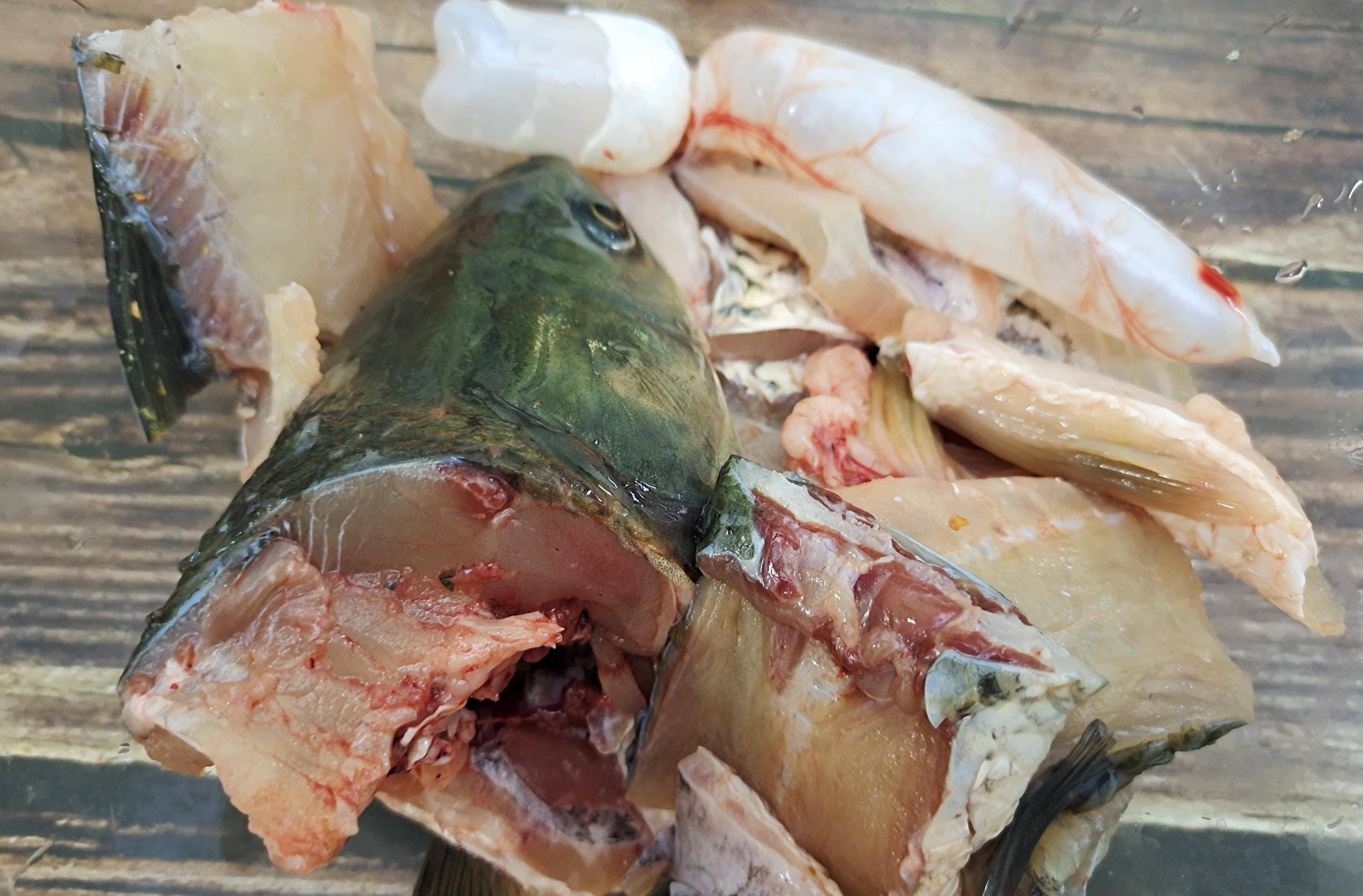 草鱼鱼肉骨架图图片