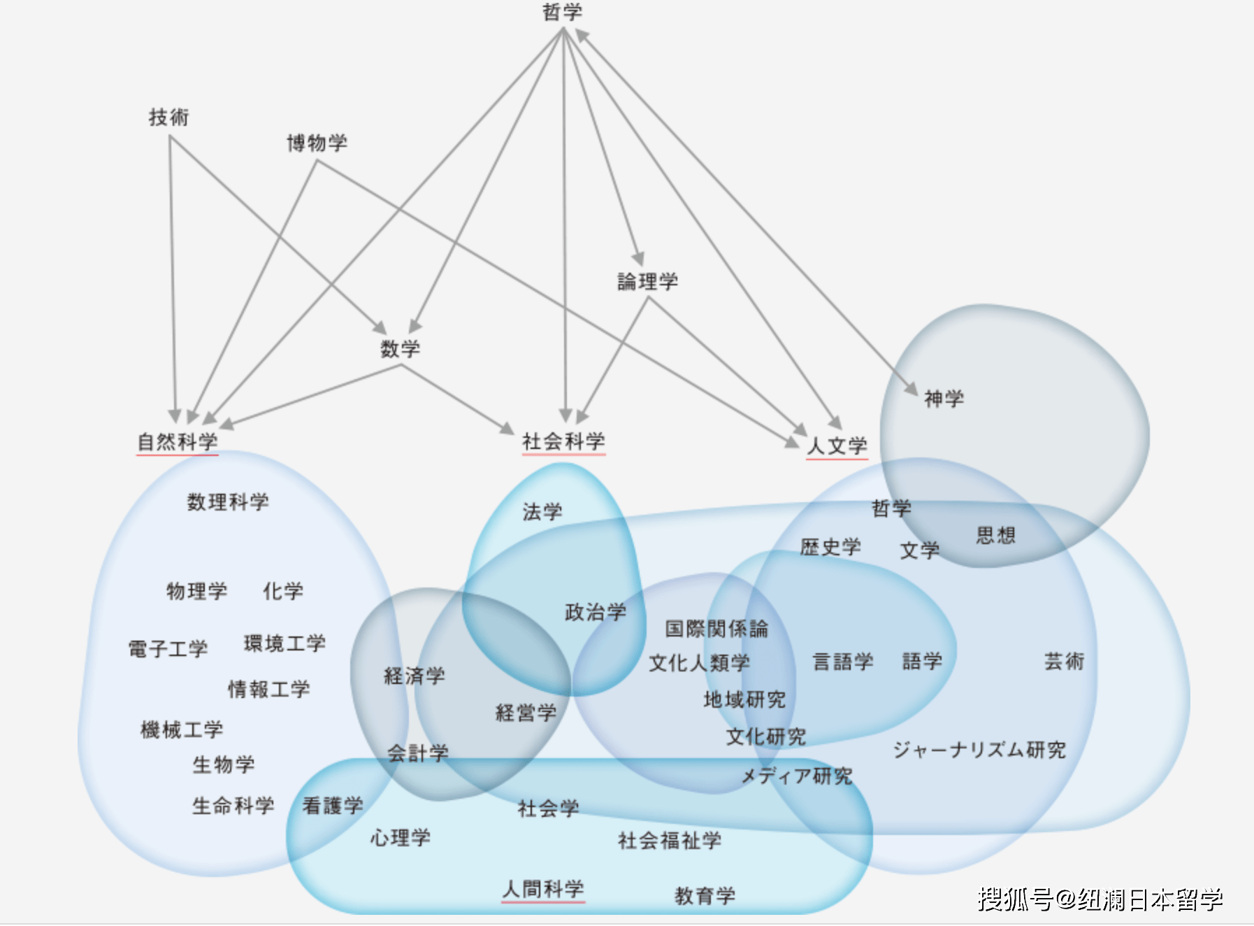 纽澜考学 来了来了 上智大学的出愿要开始了 学科 要求 数学