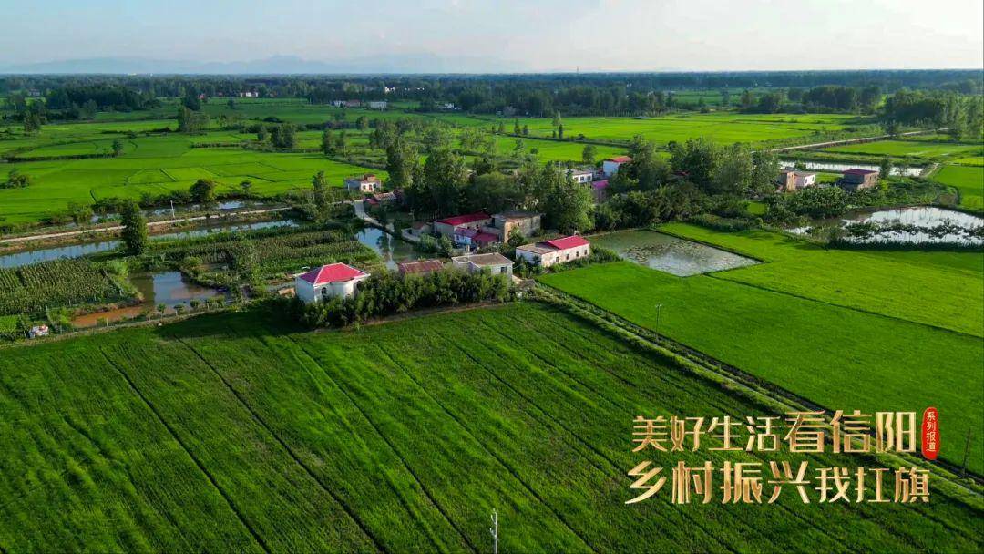 固始县平原村改善人居环境绘就美丽乡村