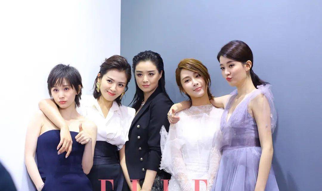 欢乐颂五美现状,王子文乔欣停滞不前,杨紫刘涛转型困难_蒋欣_电视剧