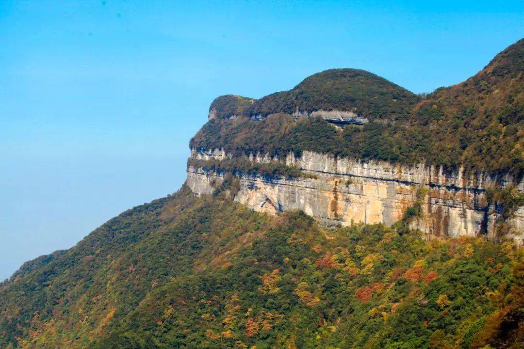 下面是我收集整理的南川金佛山景點介紹,歡迎閱讀與收藏 金佛山位於