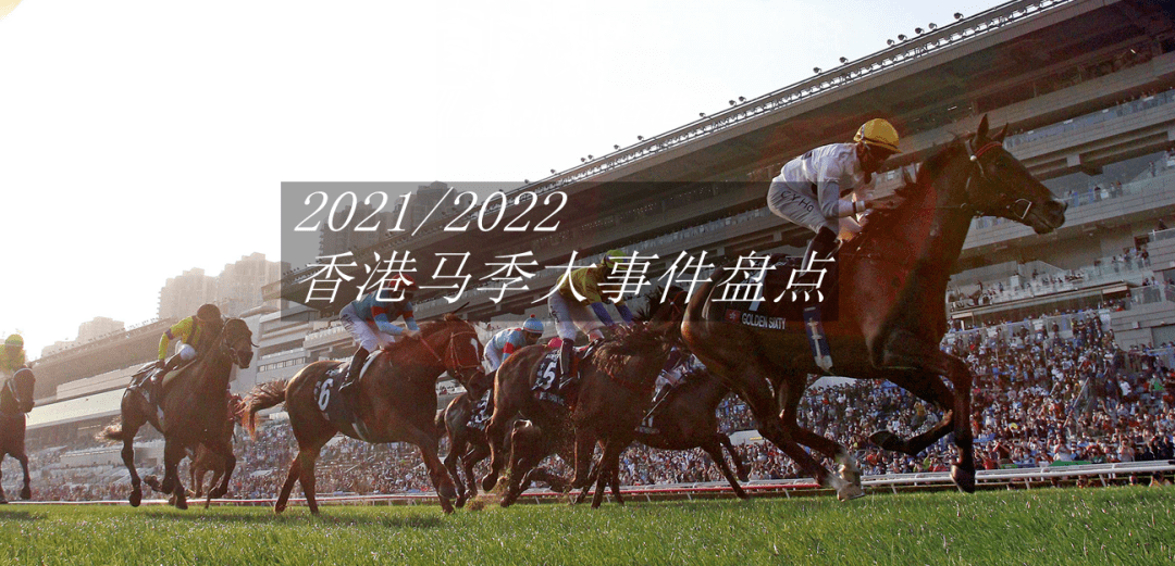 香港马会结果2021年图片